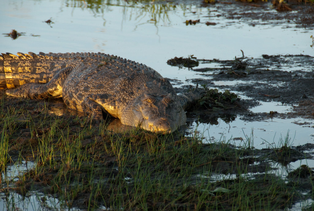 Australien Kakadu NP